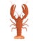 3d render of crustacean - lobster