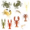 3d render of crustacean set