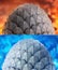 3d render Dragon egg on fiery background. Fanstasy easter egg illustration