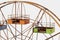 3D Render of Ferris Wheel