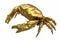 3d render of golden crab on white background