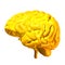 3d render of a golden human brain