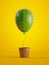 3d render, green cactus air balloon growing, potted plant, isolated on yellow background, metaphorical concept, design element,