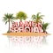 3d render - island with palm trees and the message summer special