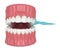 3d render of jaw with dental floss toothpick