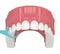 3d render of jaw with dental floss toothpick