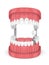 3d render of jaw with teeth and dental premolar implant