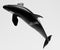 3D Render of Killer Whale