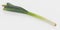 3D Render of Leek Vegetable