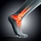 3D render of a medical image of close up of ankle bone in foot highlighted