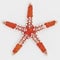 3D Render of Necklace Starfish
