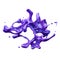 3d render of neon violet splash, liquid, paint splashing, design element isolated on white background
