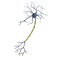 3d render of neuron