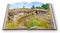 3D render of an opened photo book with an Irish peat bog landscape - Ireland - Europe