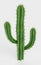 3D Render of Saguaro Cactus