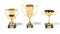 3d render of sport trophies