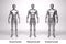 3D Render : standing male body type : ectomorph , mesomorph , endomorph with silver texture
