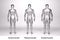 3D Render : standing male body type : ectomorph , mesomorph , endomorph with silver texture