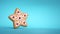 3d render, star shaped gingerbread cookie. Baked biscuit decorated with icing. Traditional Christmas food clip art isolated on