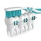 3d render of teeth with braces and toothbrush