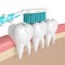 3d render of teeth with toothpaste