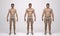 3D Render : three different male body type : underweight, muscular, overweight