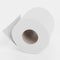 3D Render of Toilet Paper