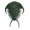 3d render of trilobite