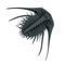 3d render of trilobite