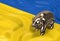 3d render of ukrainian flag and bear