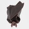 3D Render of Vampire Bat