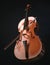 3D render vertical of a shiny clean brown violin on a dark foreground