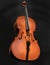 3D render vertical of a shiny clean brown violin on a dark foreground