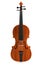 3d render of violin