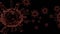 3D Render of virus cells floating on dark black background, camera slowly panning inwards. Covid Concept 4k