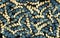 3d render wallpaper. golden and turquoise geometric tree branches on black wood background.