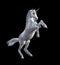 A 3d render of a white unicorn rearing isolated on black background.