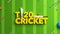 3D Render Of Yellow T20 Cricket Text With Silver Winning Trophy, Bat, Ball And Confetti On Green Stripe