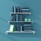 3d rendered bookshelves