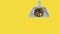 3D-rendered chocolate donut on a dustpan on a yellow background, a junk food concept