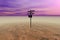 3d rendered desert electric pole surreal landscape