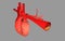 3d rendered human heart