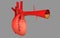 3d rendered human heart