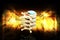3d rendered human spine in colour background