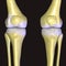 3d rendered illustration of skeletal knees with painful joints