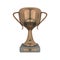 3D rendered isolated Bronze Trophy Cup