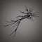 3D rendered neuron with glossy dark reflective surface