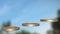 3d rendered set of three pedestals in the sky