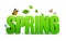 3D Rendered Spring Word in White Background