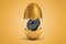 3d rendering of 15 kg weight plate hatching out of golden egg on yellow background